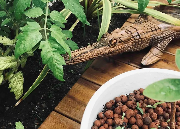 With Jardin Tropical Terrasse - Center - 150m Lägenhet