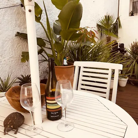 Appartement With Jardin Tropical Terrasse - Center - 150m *