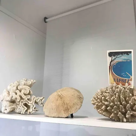 Appartement With Jardin Tropical Terrasse - Center - 150m Biarritz