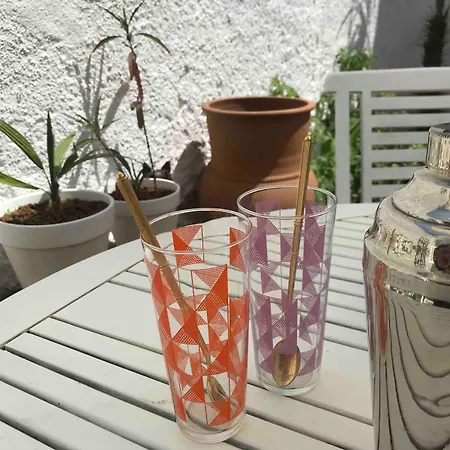 Appartement With Jardin Tropical Terrasse - Center - 150m *