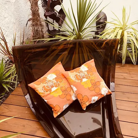 Appartement With Jardin Tropical Terrasse - Center - 150m *