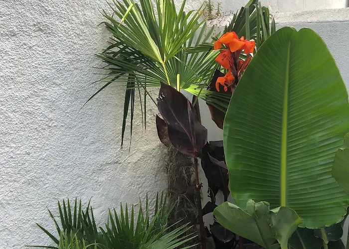 Apartament With Jardin Tropical Terrasse - Center - 150m *