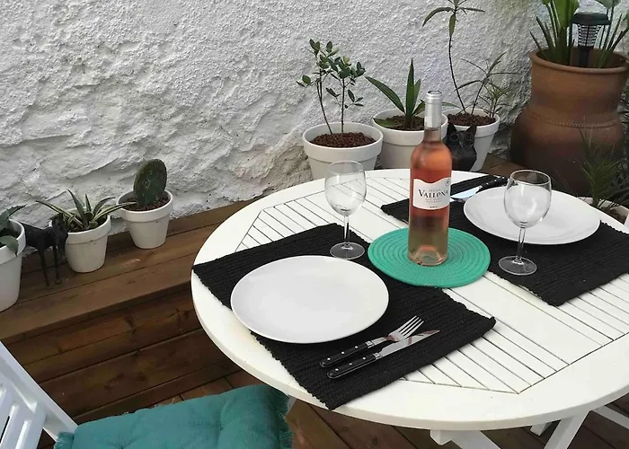 Apartament With Jardin Tropical Terrasse - Center - 150m