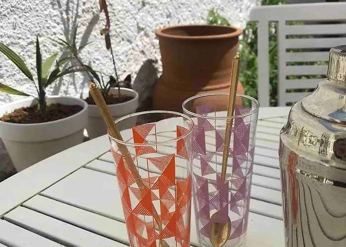 Lägenhet With Jardin Tropical Terrasse - Center - 150m *