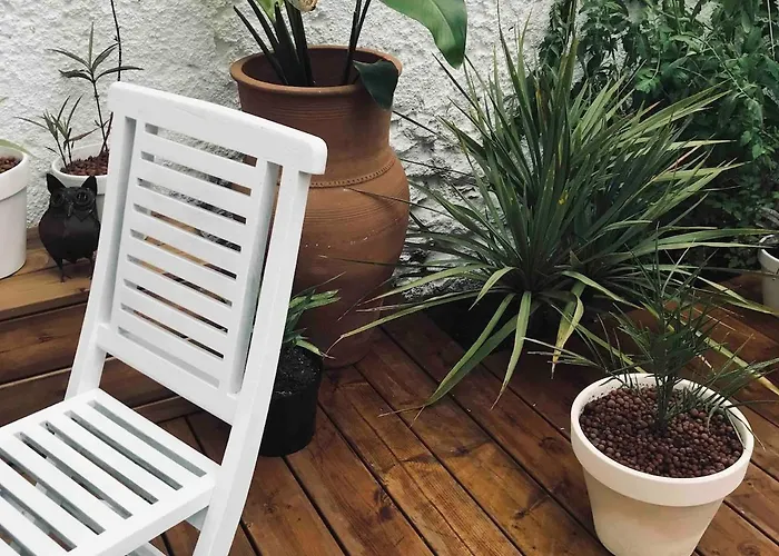 Apartament With Jardin Tropical Terrasse - Center - 150m Biarritz